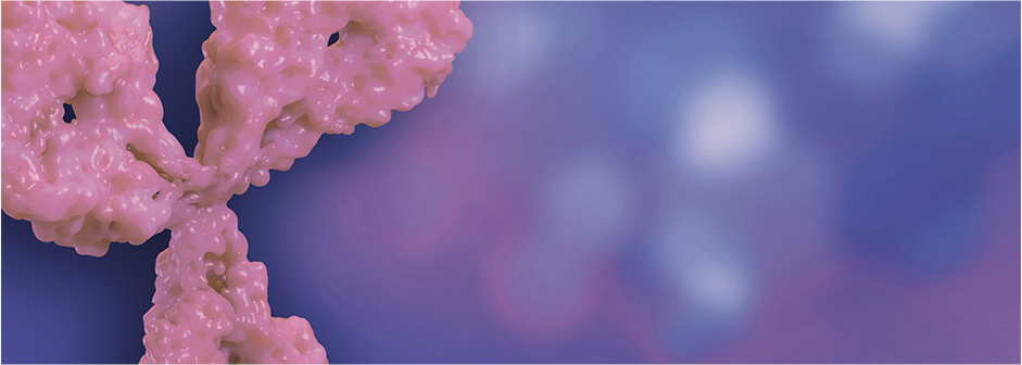 A 3-D monoclonal antibody representing HERZUMA